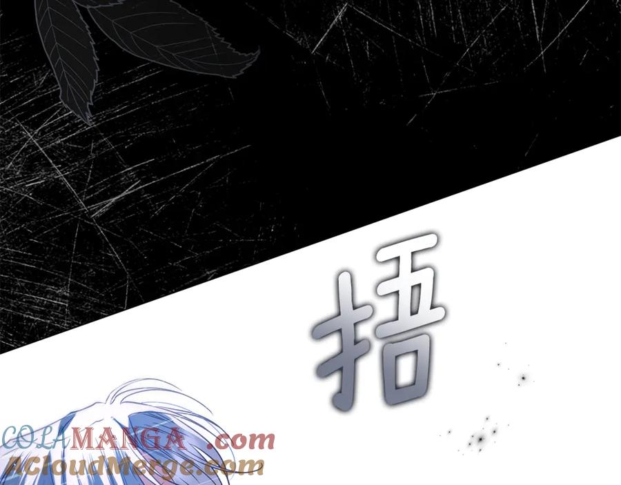 第217页