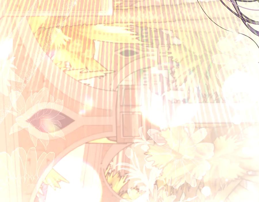 第215页