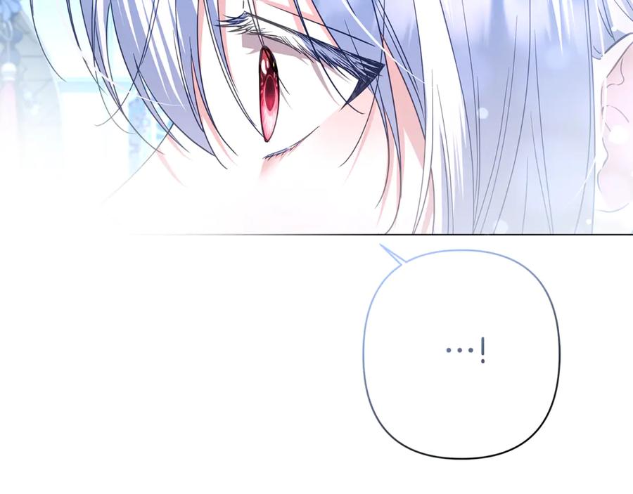 第215页