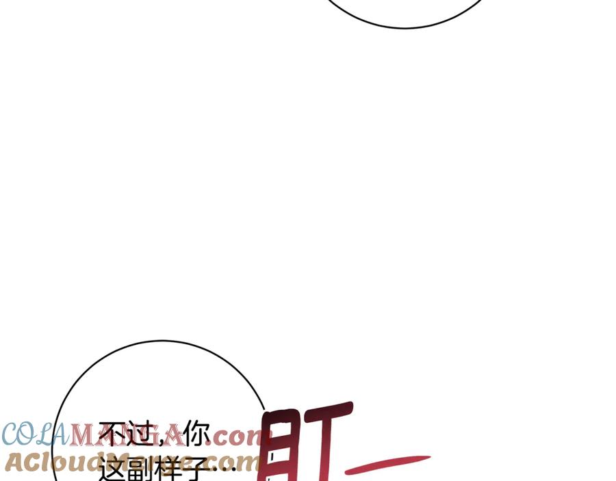 第217页