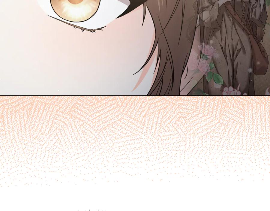 第235页