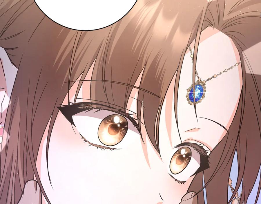 第244页