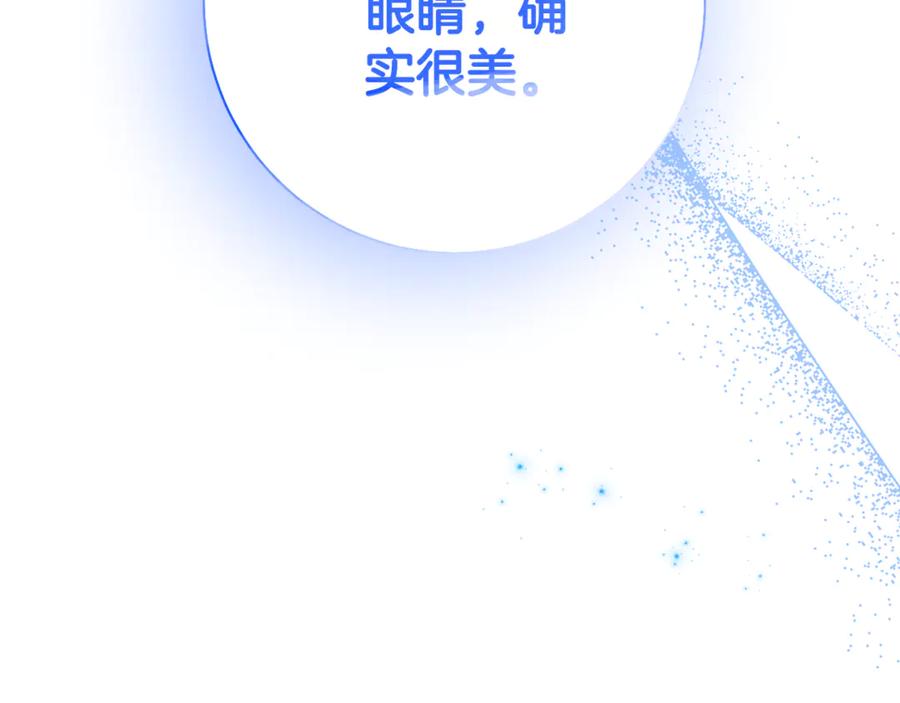 第251页