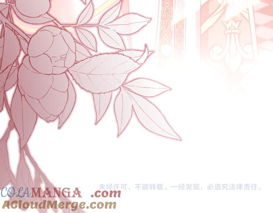 第221页