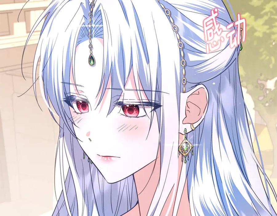 第242页