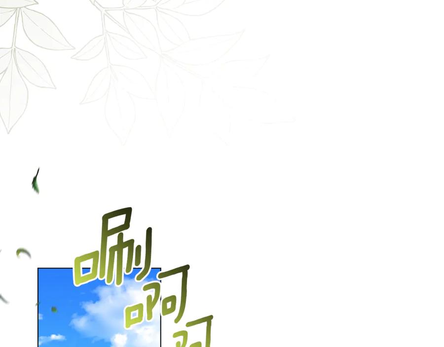 第255页