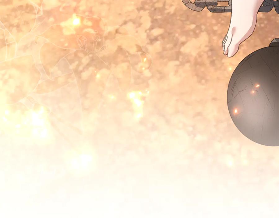 第223页