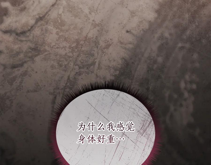 第231页
