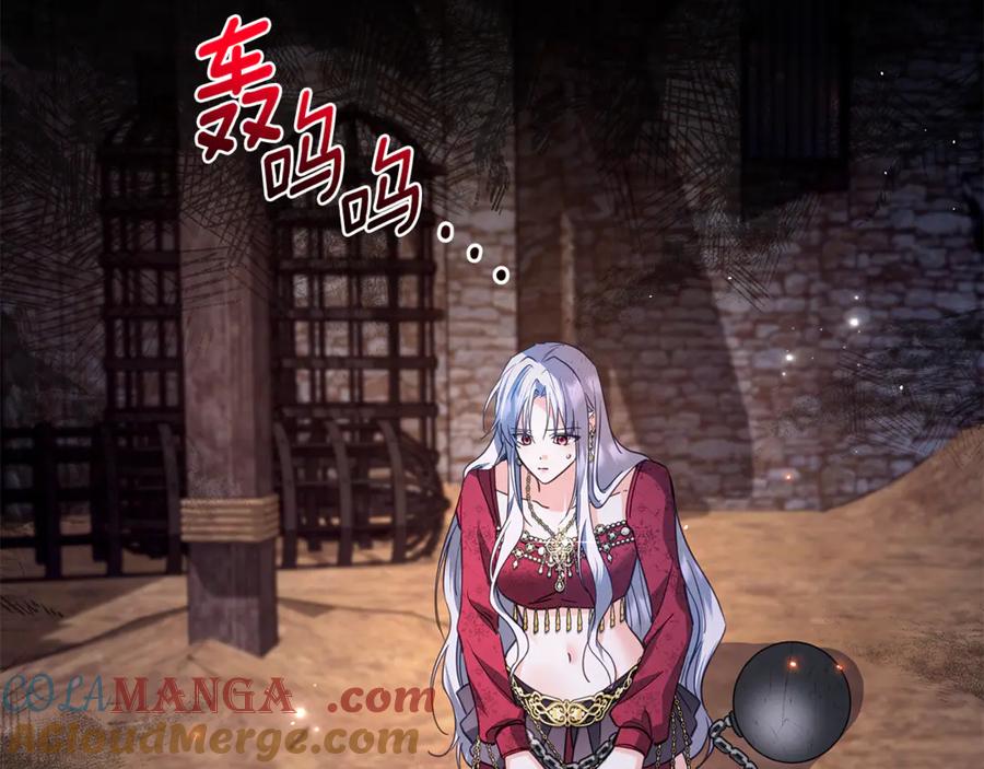 第213页