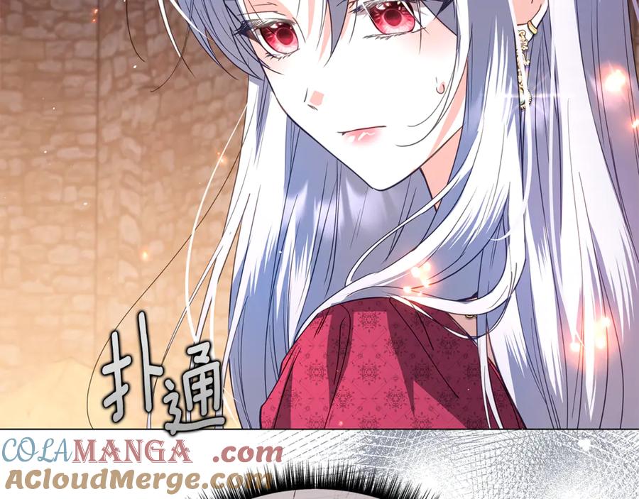 第245页