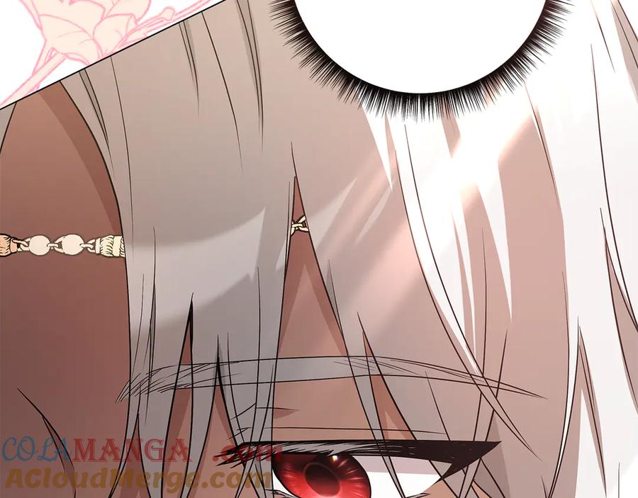 第253页