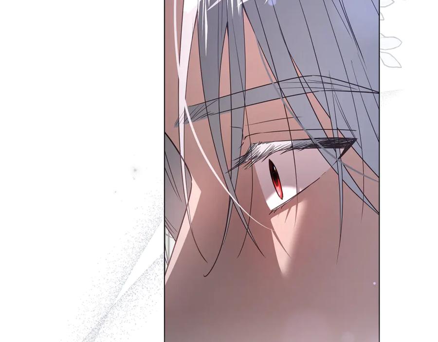 第239页