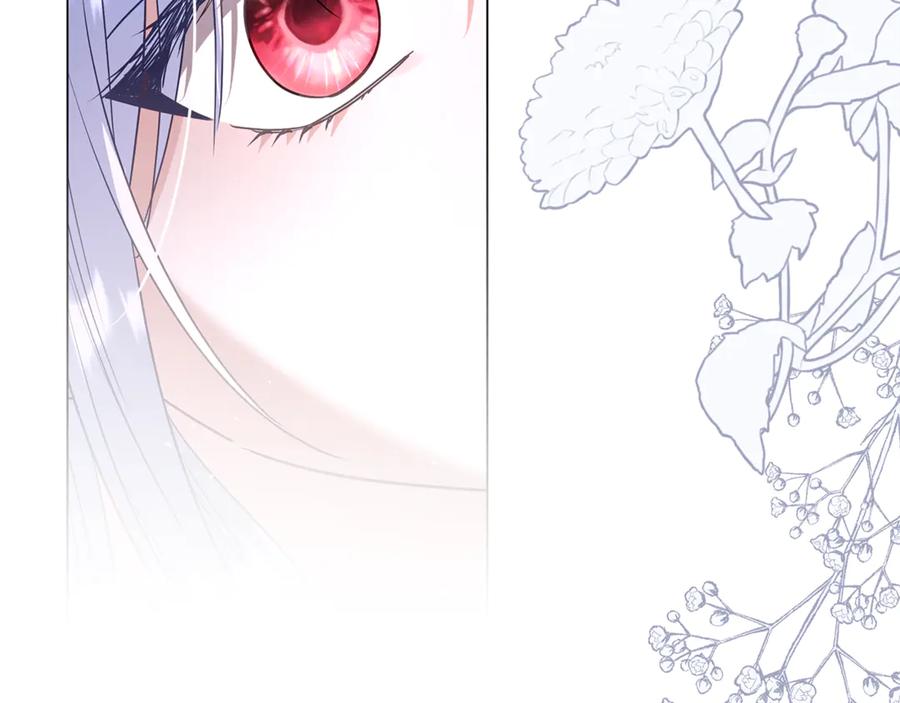 第223页