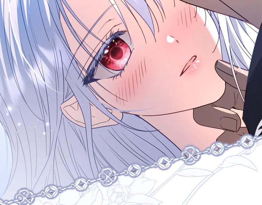 第242页