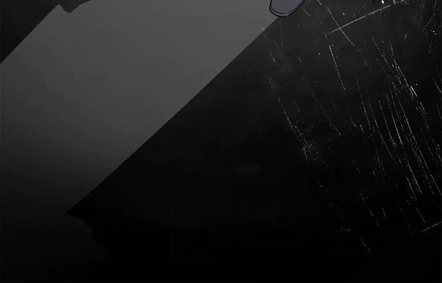 第224页
