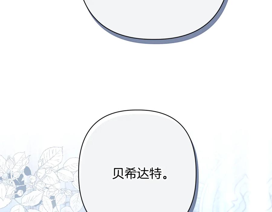 第239页