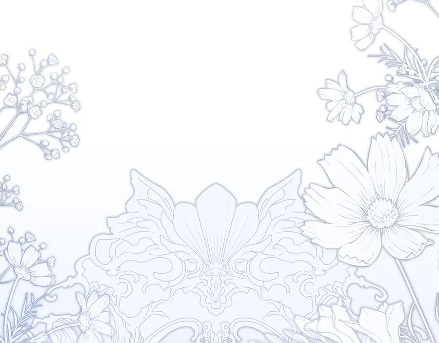 第236页