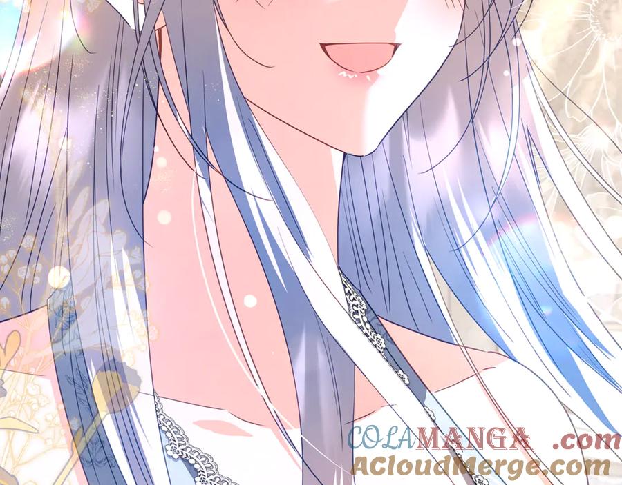 第205页