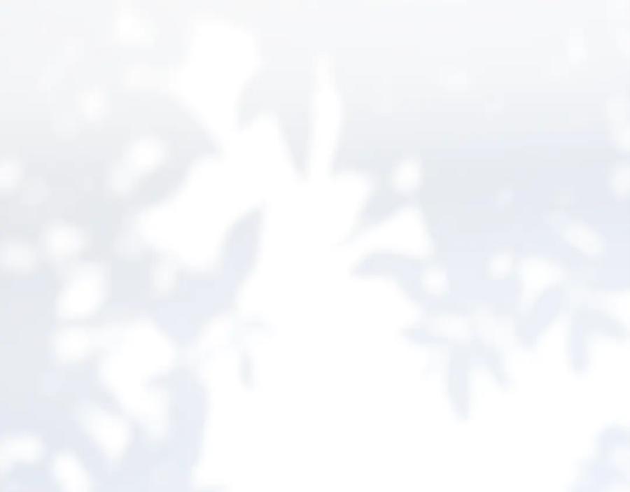 第256页
