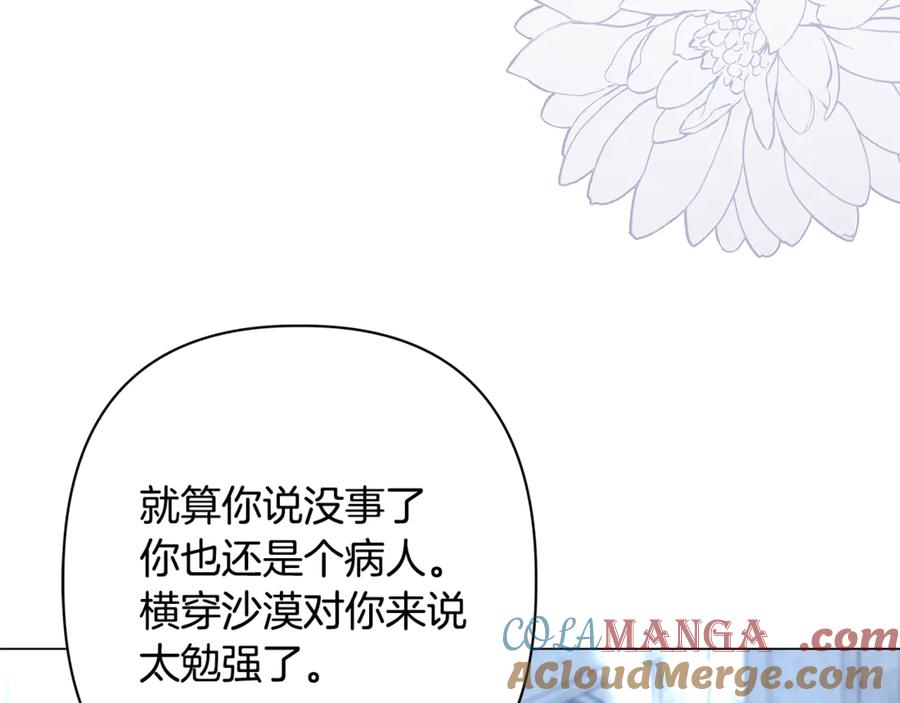 第217页