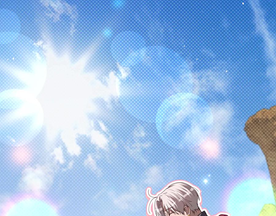 第223页