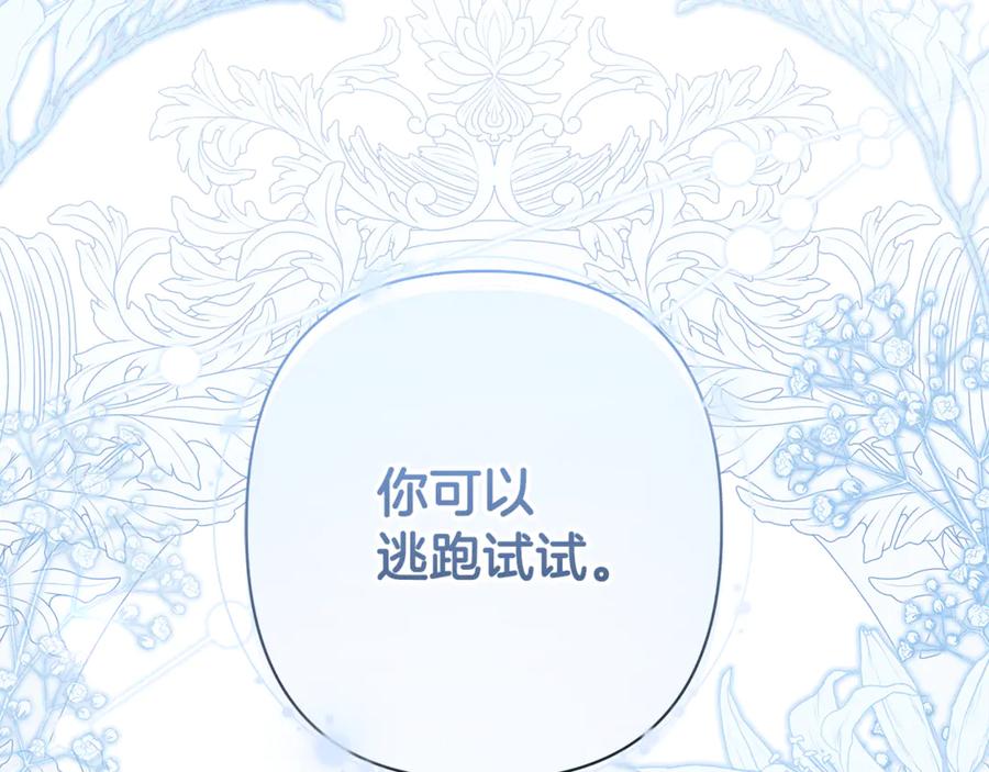 第239页