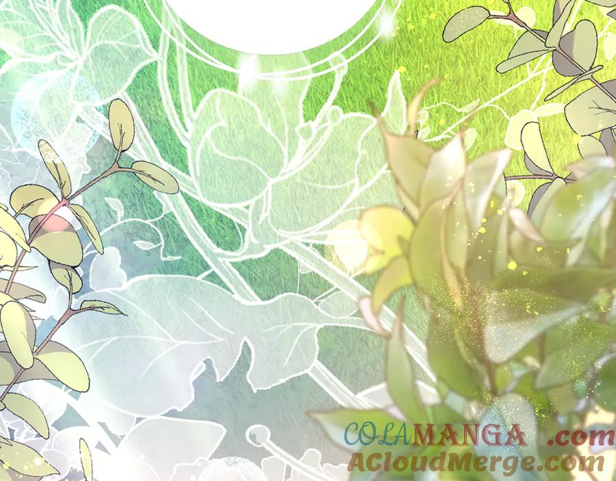 第249页