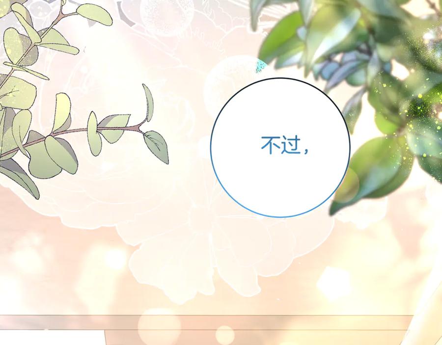 第250页