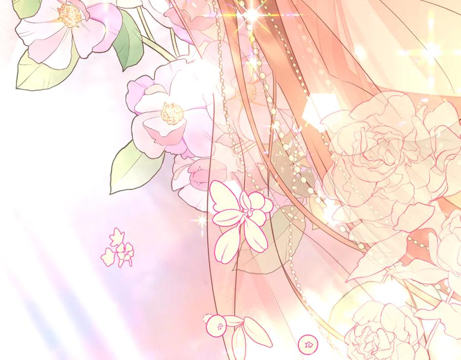 第267页
