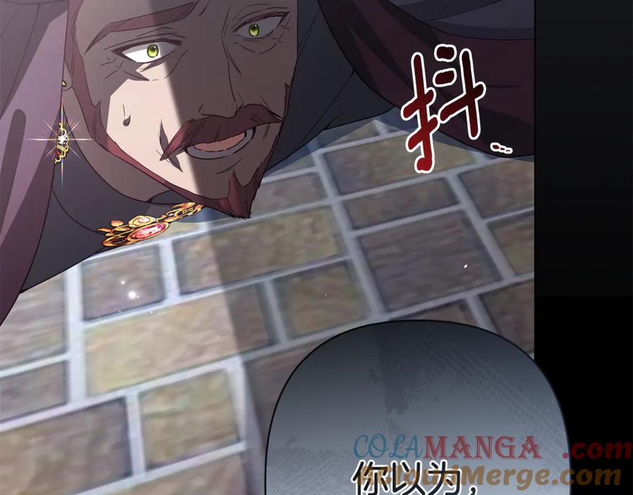 第217页