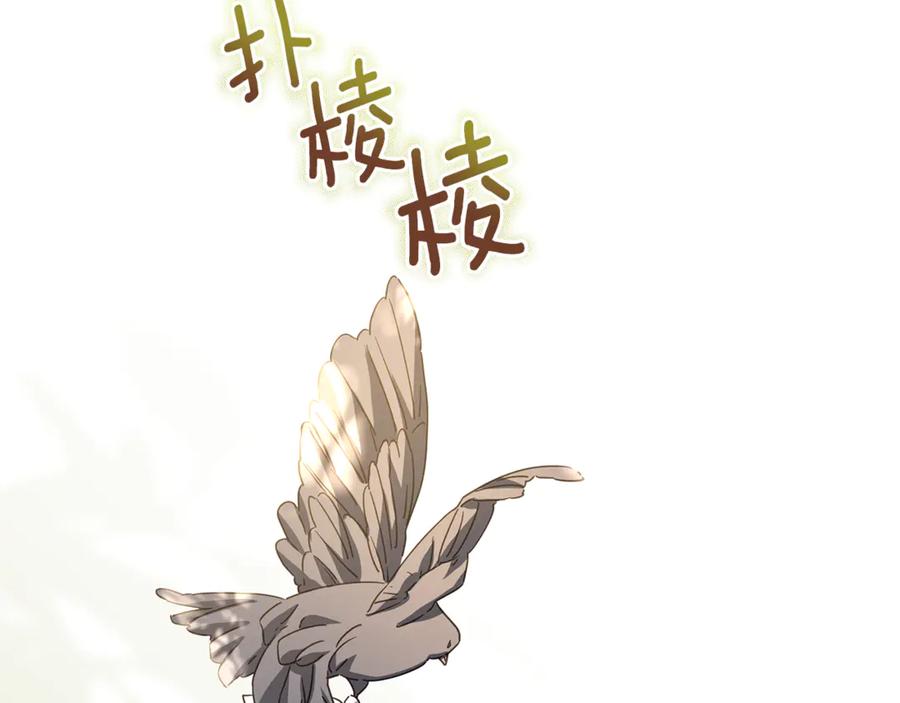 第218页