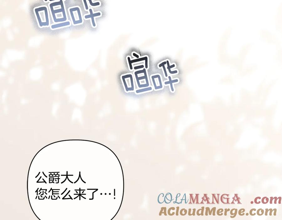 第241页