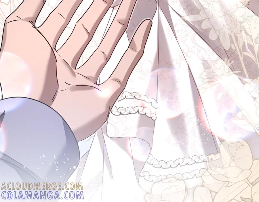 第241页