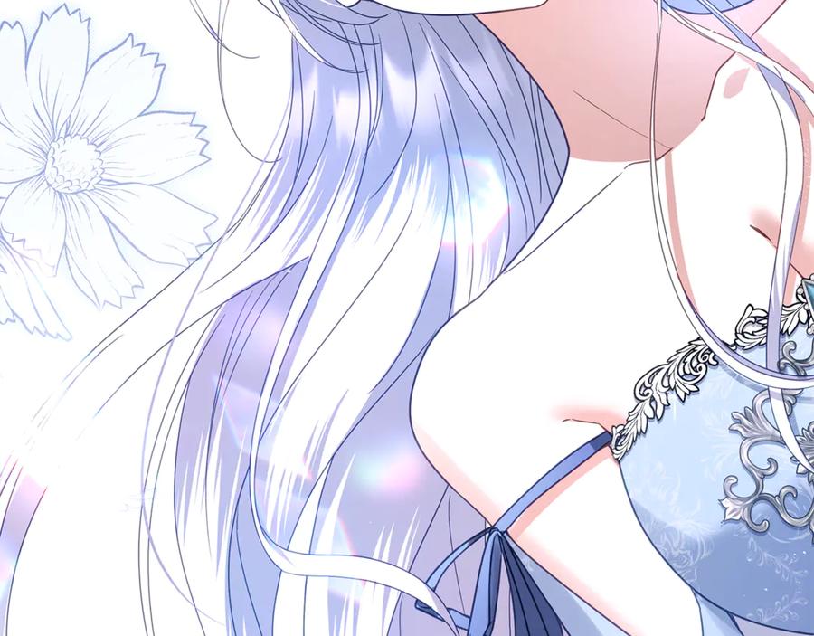 第255页