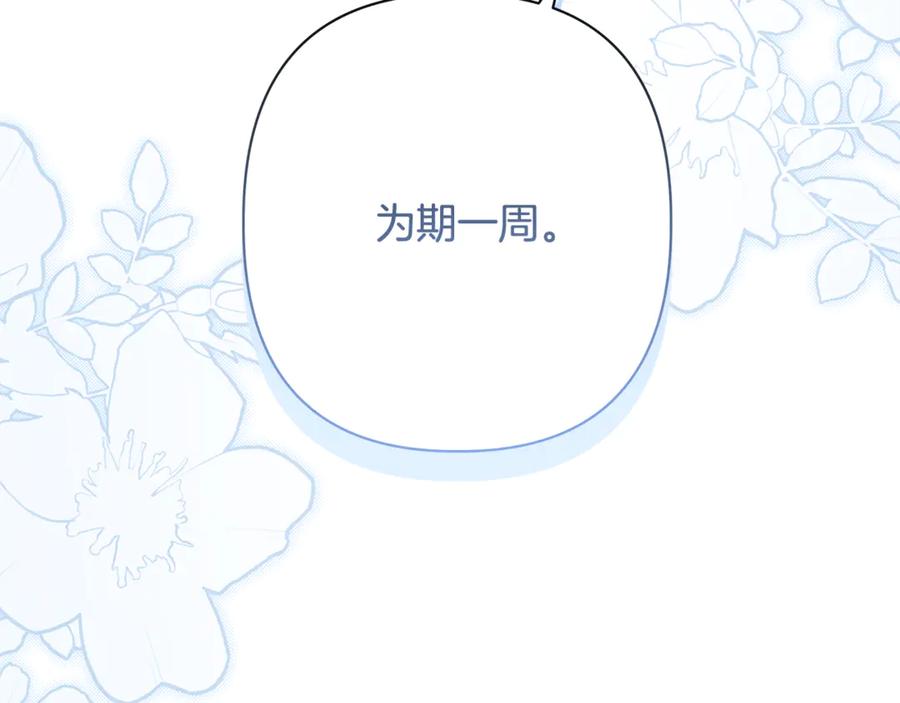 第239页