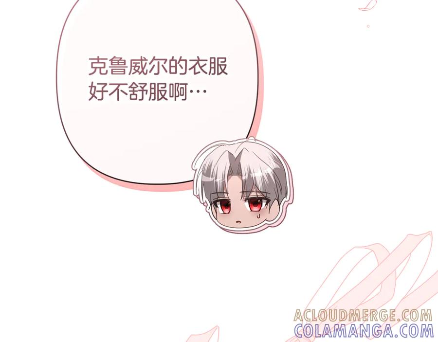 第213页