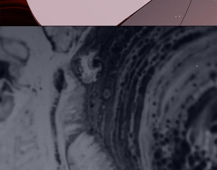 第238页