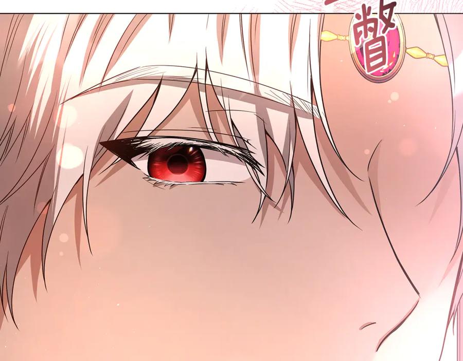 第260页