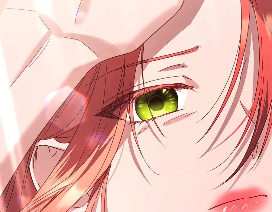 第239页