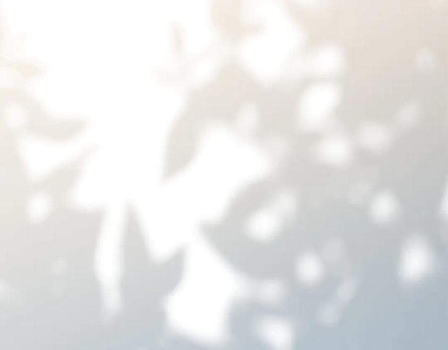 第244页