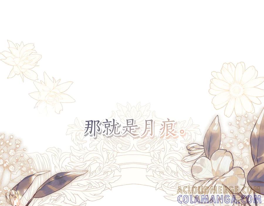第261页