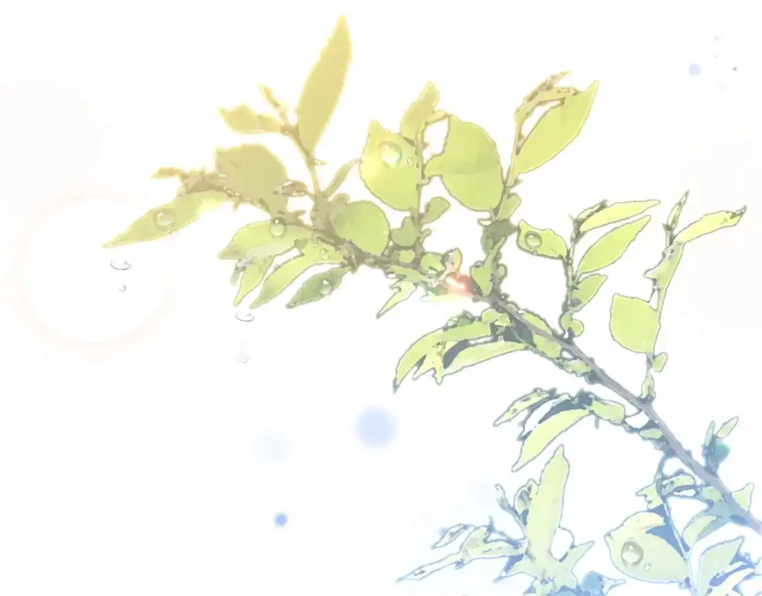 第164页