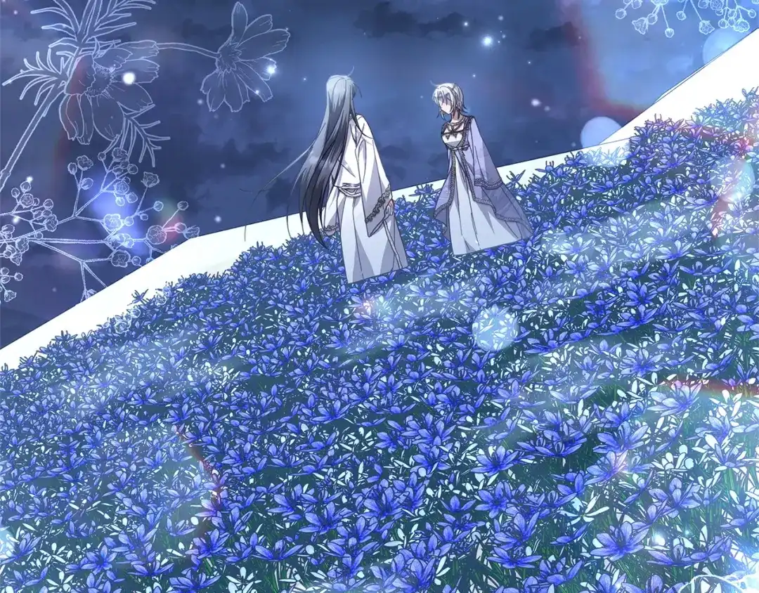 第215页
