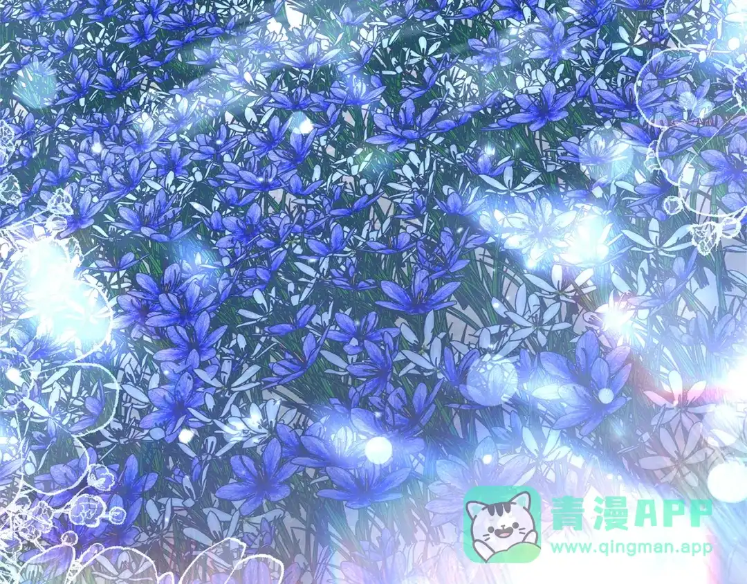 第216页