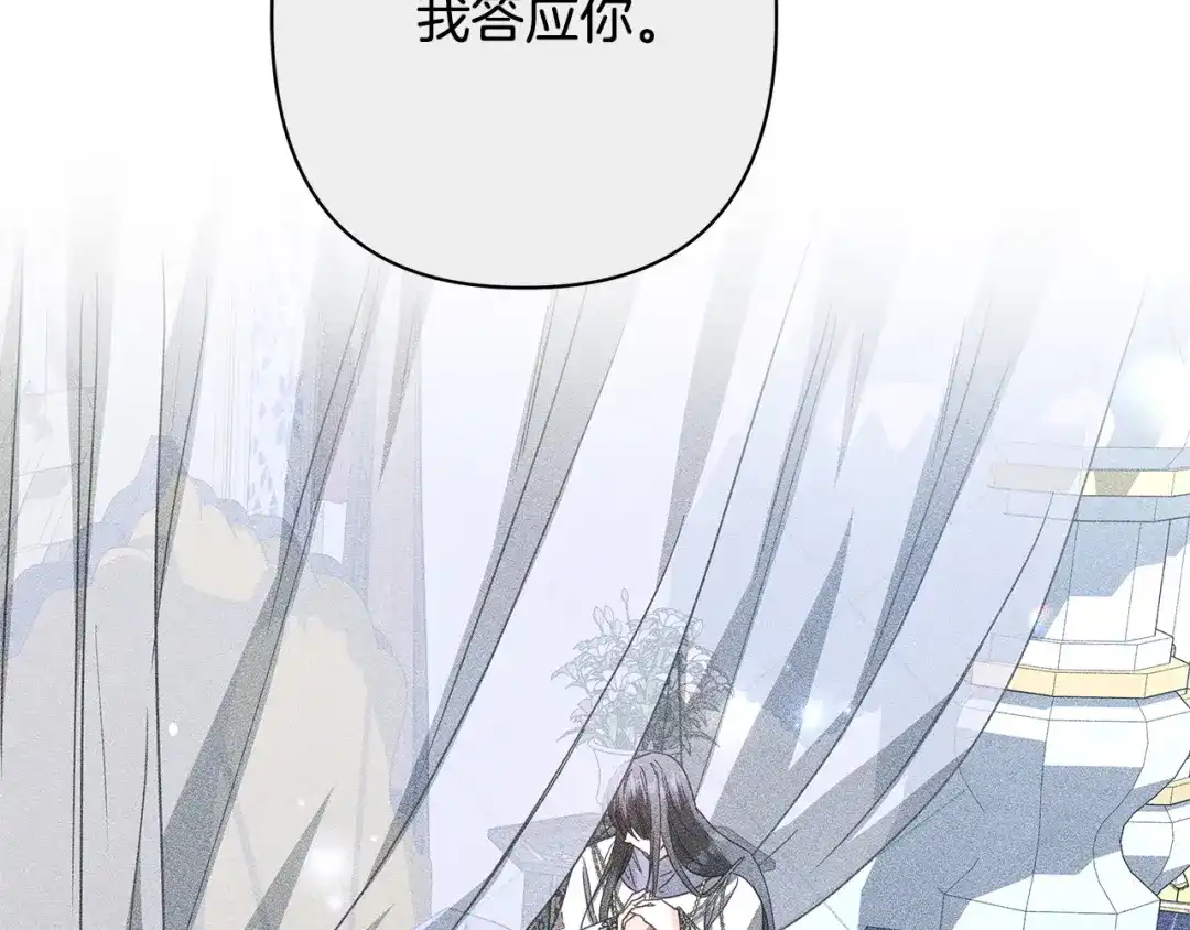 第244页