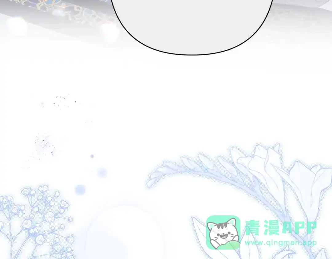 第246页