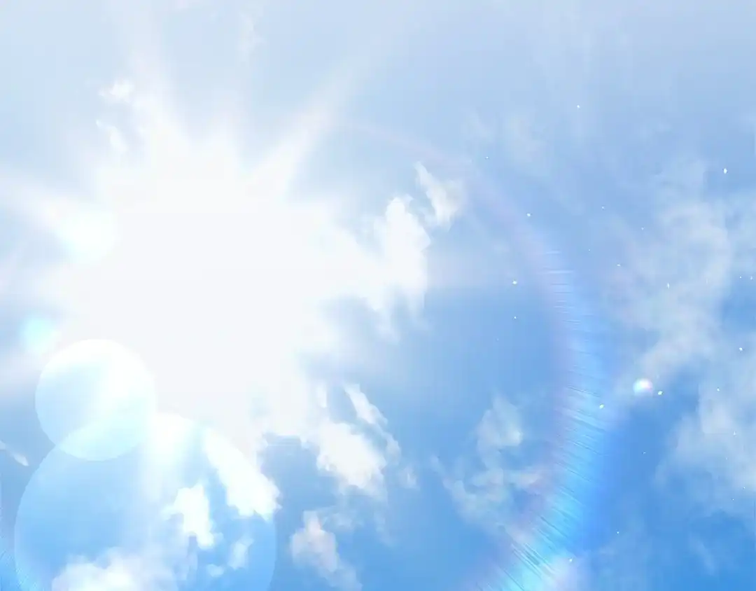 第194页