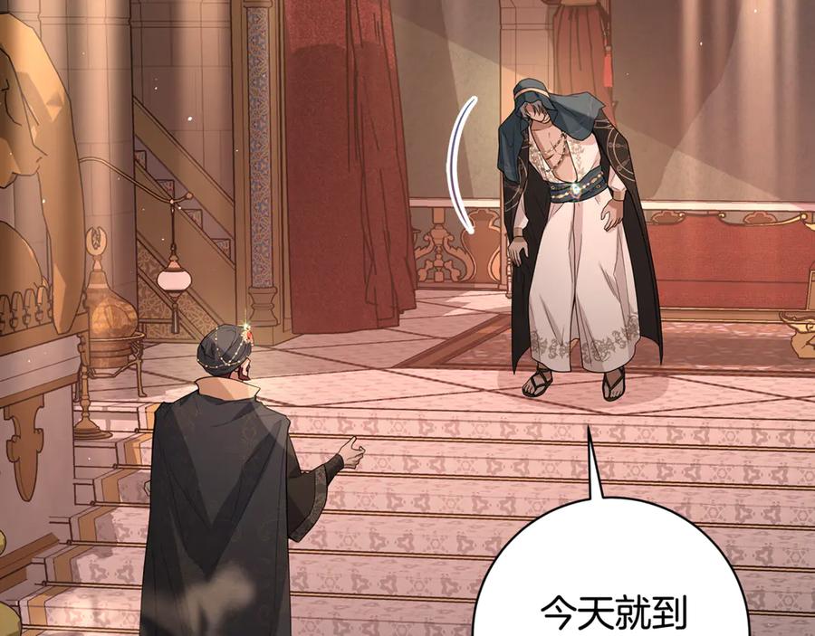 第219页