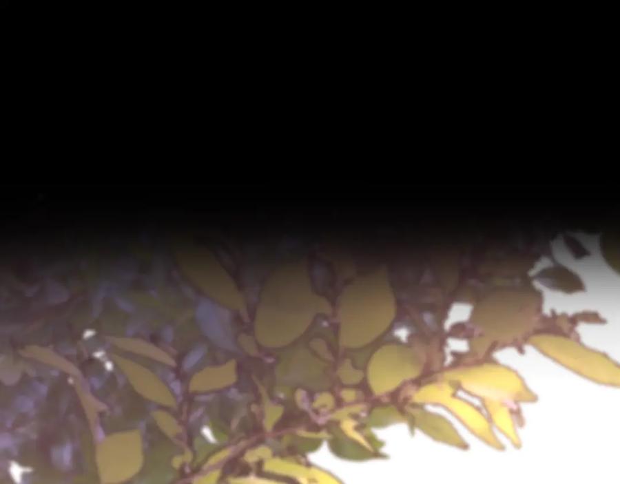 第230页