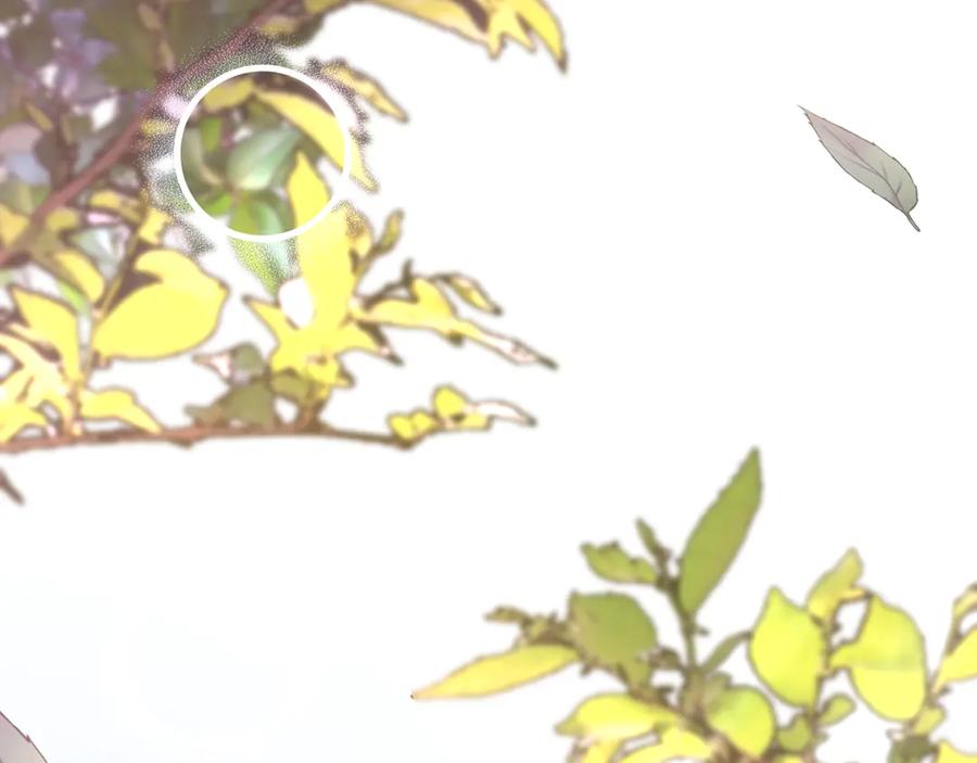 第231页